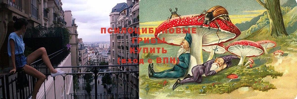 мет Гусев