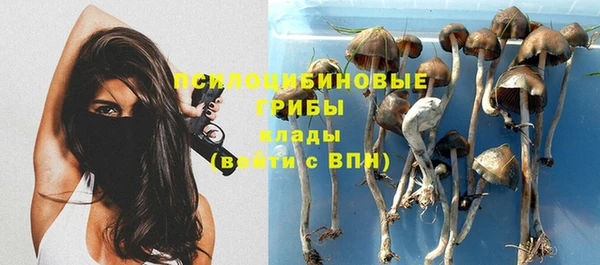 гашишное масло Гусиноозёрск