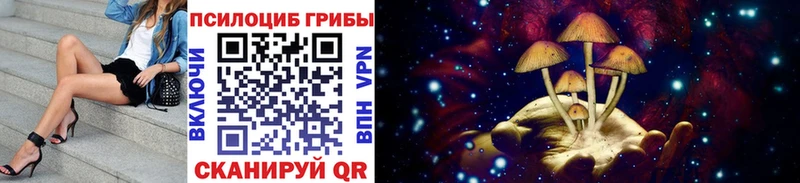 Псилоцибиновые грибы Psilocybine cubensis  Купить  Рыбное 